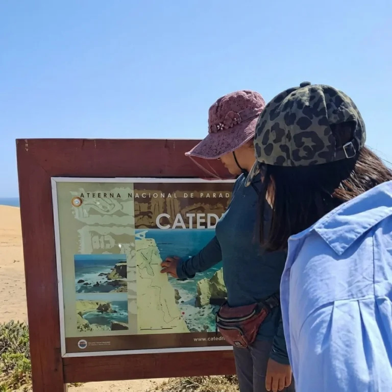 Full day Playa La Mina minca travel